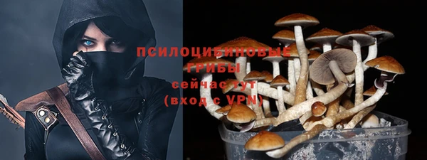 стафф Данков