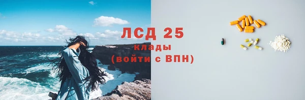 винт Алзамай