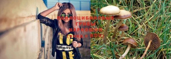крисы Абинск