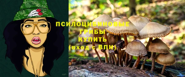 крисы Абинск